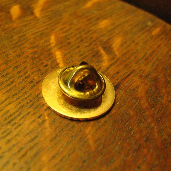 Republican National Committee 2000 Lapel Pin - Picture 3 of 4